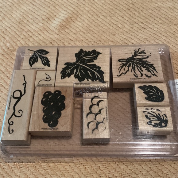 Stampin Up! Gorgeous Grapevine set of 9 (2005) - Picture 4 of 5